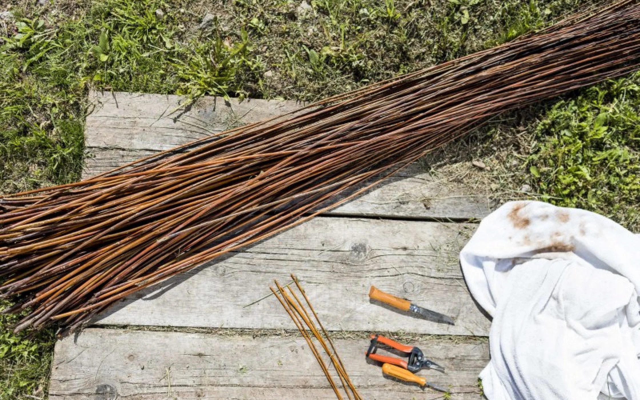 Bild 1 Weidenkugel_Brigitta Trenkwalderarminhuber_2017 12_800x533.jpg